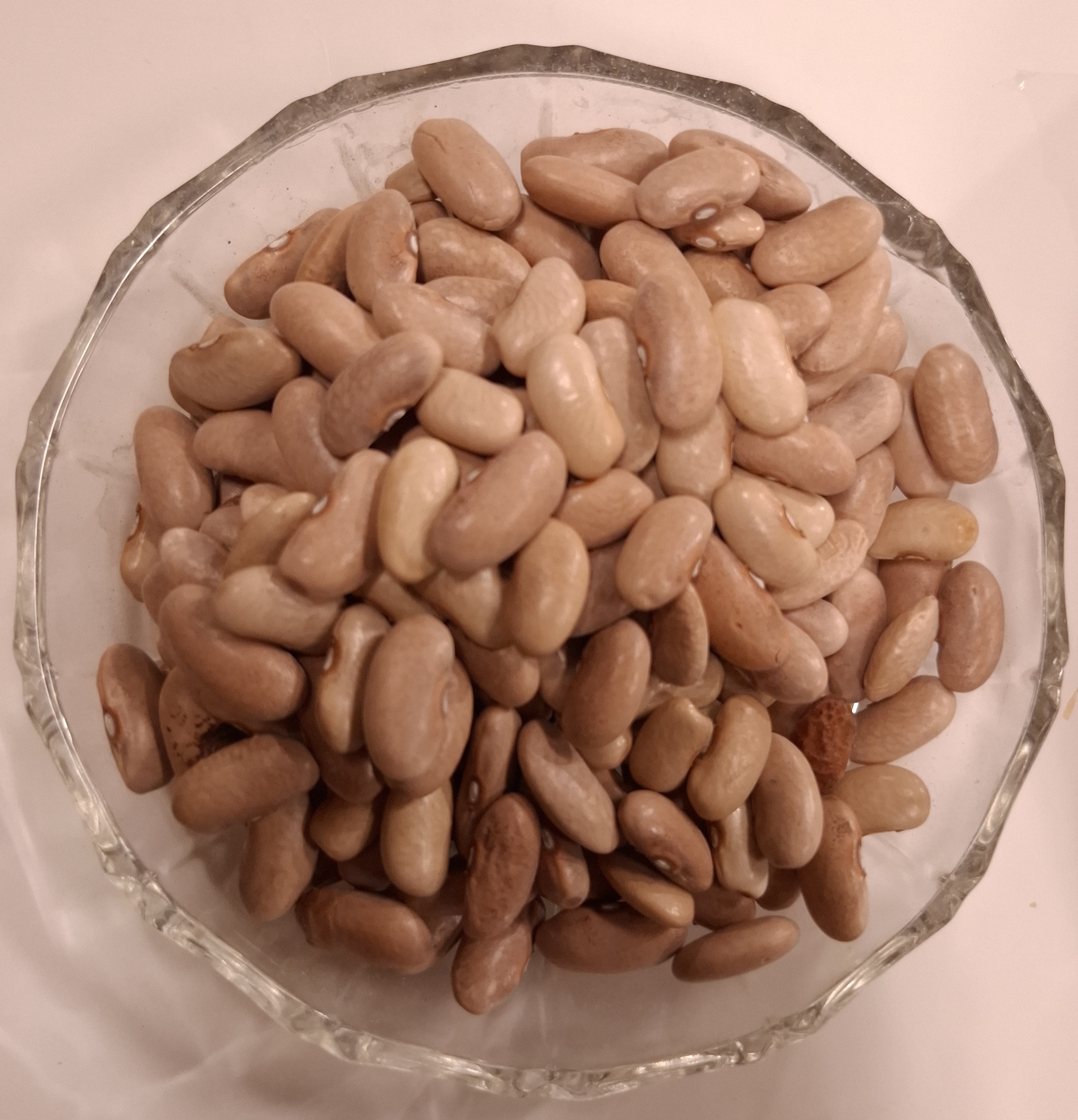لوبیا رشتی