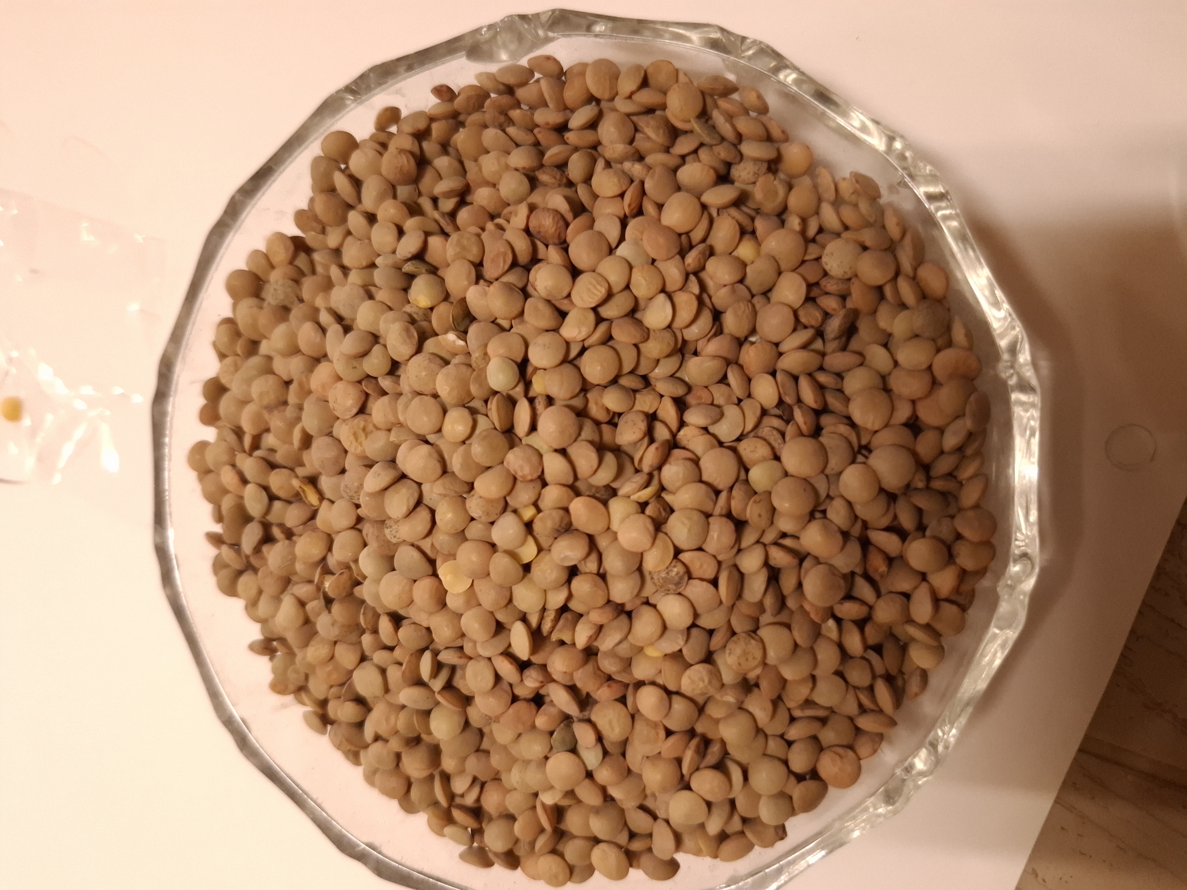 عدس ریز